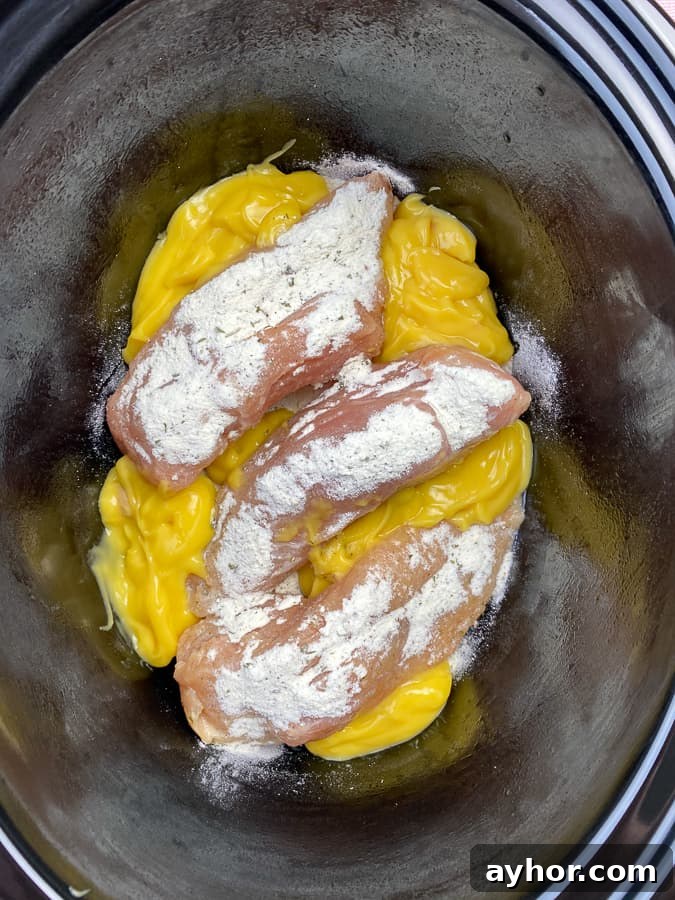 Slow Cooker Chicken with Bacon and Ranch Flavor 6 Chicken breasts with ranch and cream of chicken soup in crock pot.