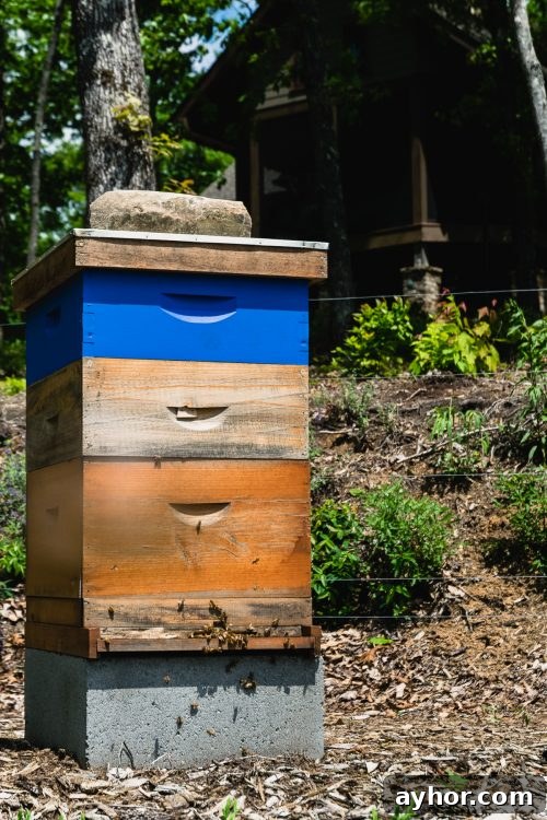 killer bees honey-9