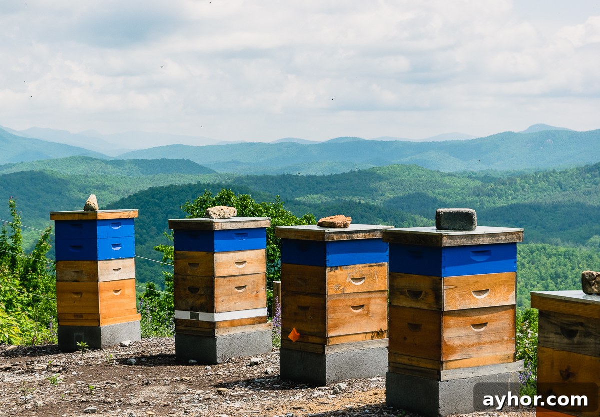 killer bees honey-7