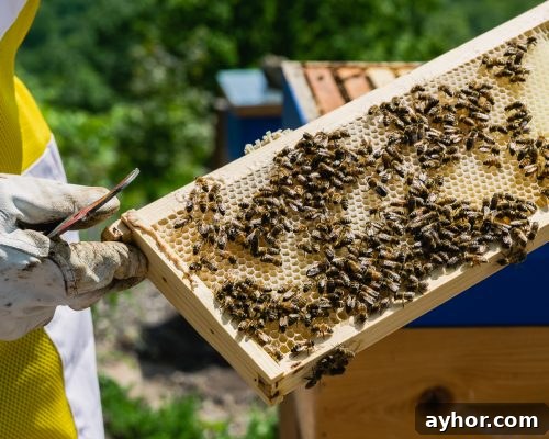 killer bees honey-2
