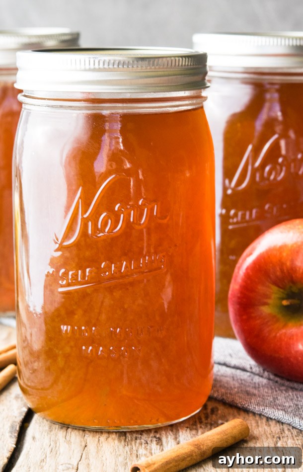 Spice up the holidays with apple pie moonshine, the fiery beverage of outlaws domesticated by a touch of grandma’s apple pie. A unique gift for adult pals. #moonshine #applepiemoonshine Apple Pie Moonshine in a 16 ounces-Mason Jar