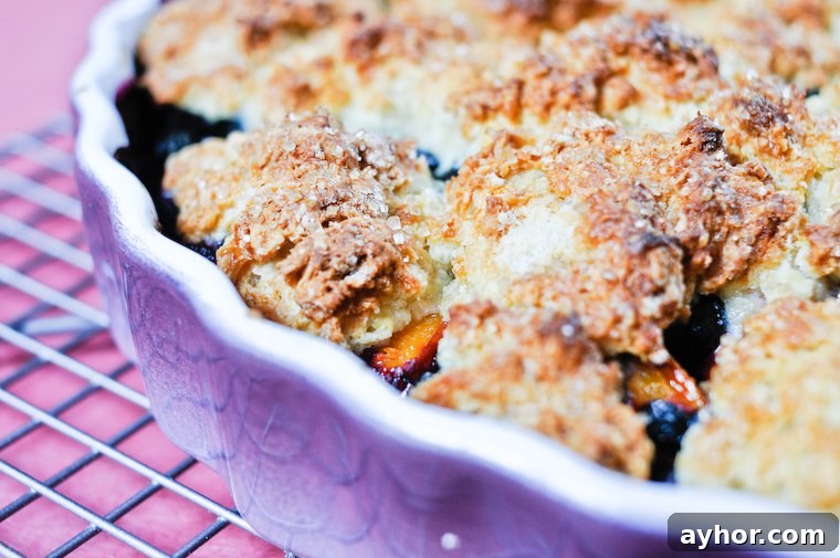 Apricot and Blueberry Cobbler Recipe — Sweet Summer Dessert 2 Apricot Blueberry Cobbler