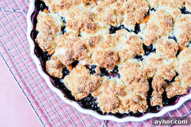 Apricot Blueberry Cobbler Recipe