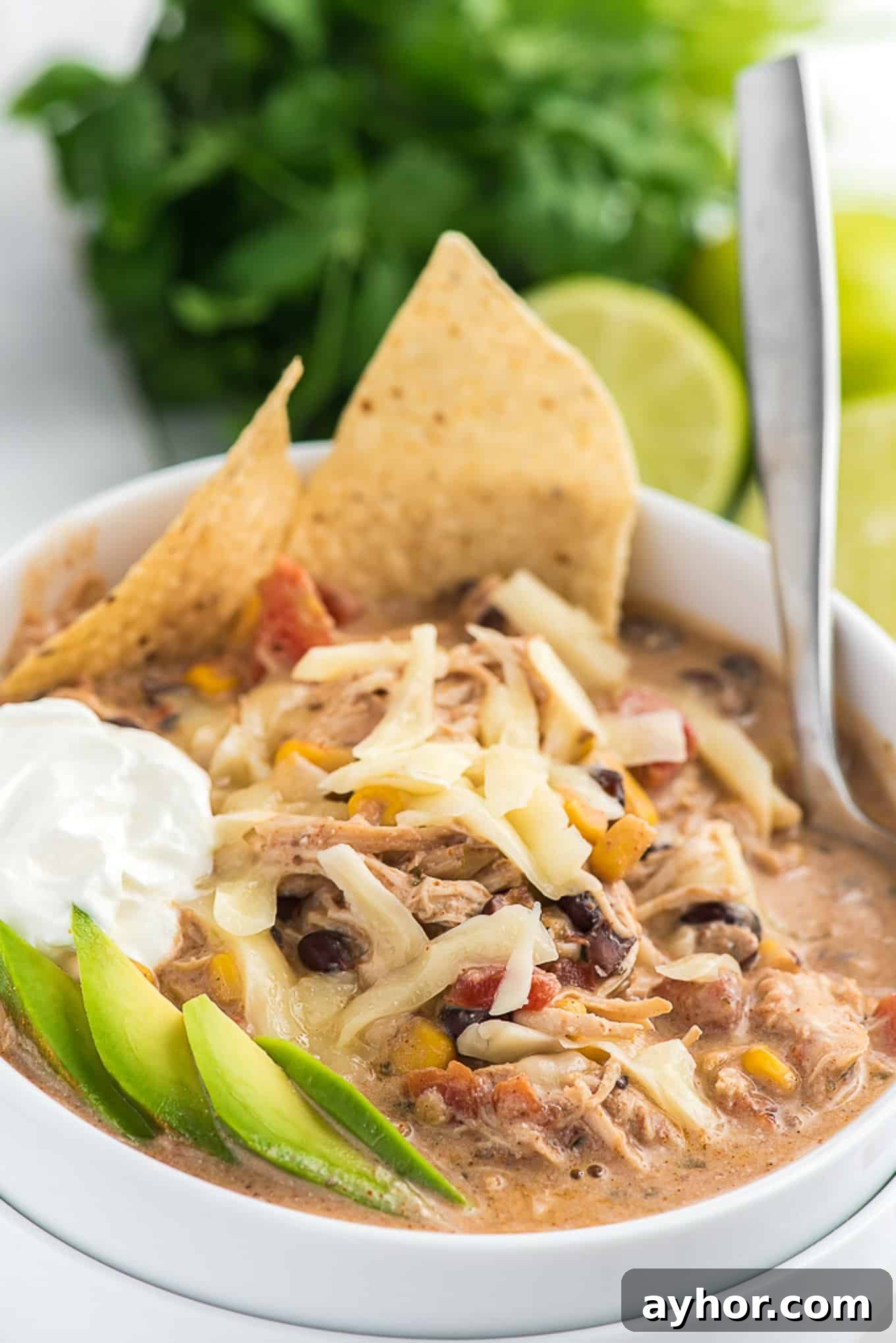 Creamy White Chicken Chili with Homestyle Flavor 2 A bowl of white chicken chili on the table topped with cheese, sour cream, and tortilla chips.