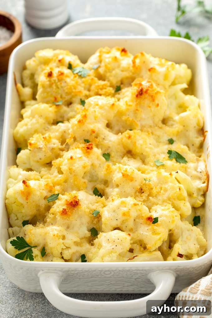 Creamy Cauliflower Gratin with Golden Cheese Crust 2 Cheesy Cauliflower Gratin in a casserole