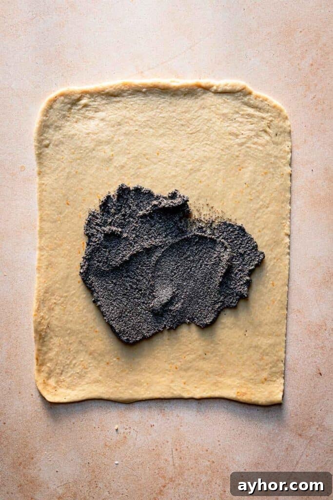 A rectangle dough topped with poppy seed filling.