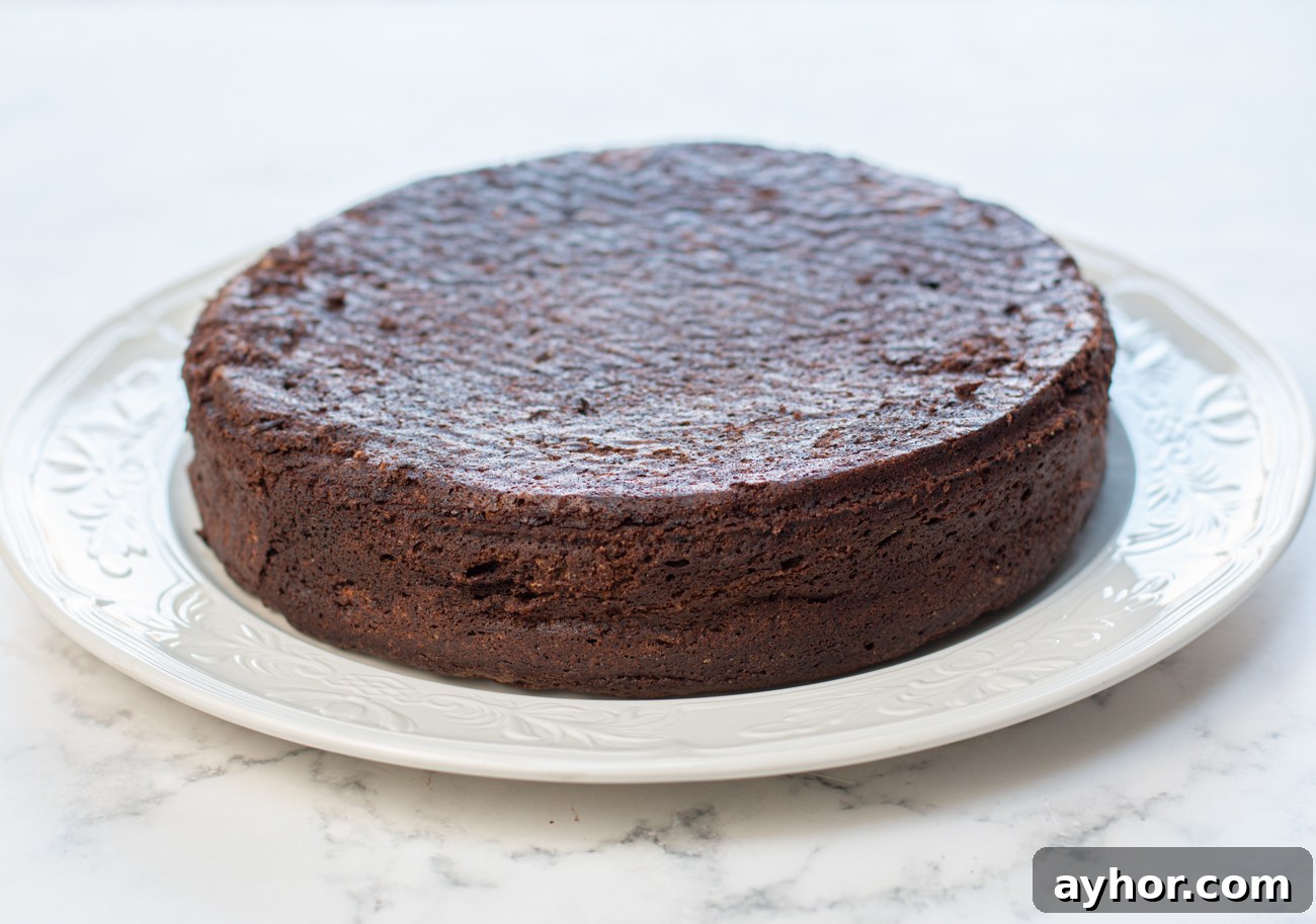 The cake released from the springform pan