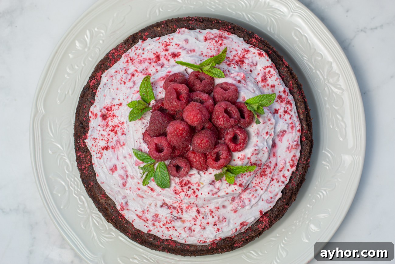 Flourless Chocolate Mousse Cake with Crushed Raspberry Coconut Whipped Cream
