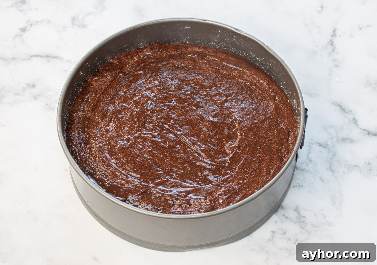 Pour batter into prepared pan and level