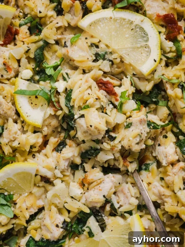 High-Protein Baked Ziti Recipe for Muscle & Meal Prep 15 A close up shot of chicken orzo bake garnished with lemons.