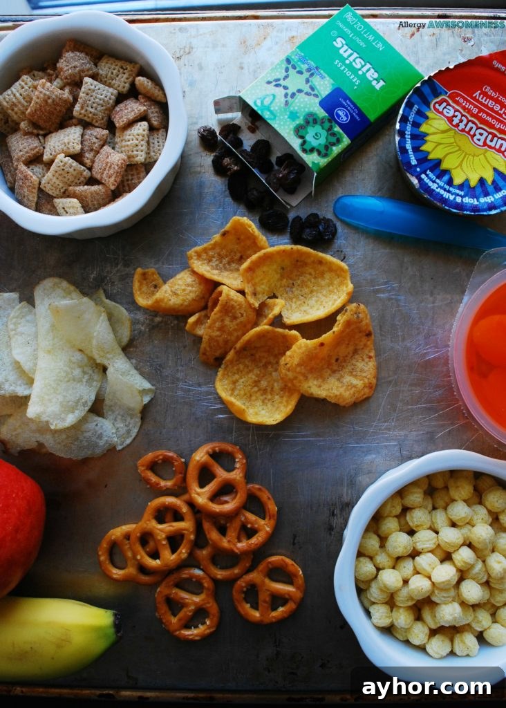 Top Allergy-Friendly Snacks Free of the Top 8 Allergens 6 List of allergy friendly snacks for school