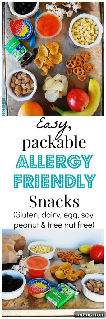 Top Allergy-Friendly Snacks Free of the Top 8 Allergens 7 Easy Portable Allergy Friendly Snacks by AllergyAwesomeness
