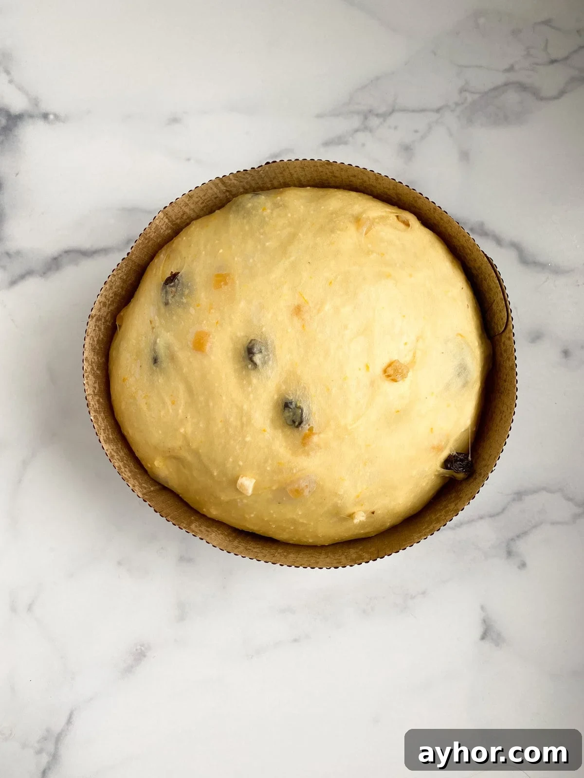 Classic Italian Panettone Recipe: Authentic Holiday Sweet Bread 16 panettone rise in the paper mold.