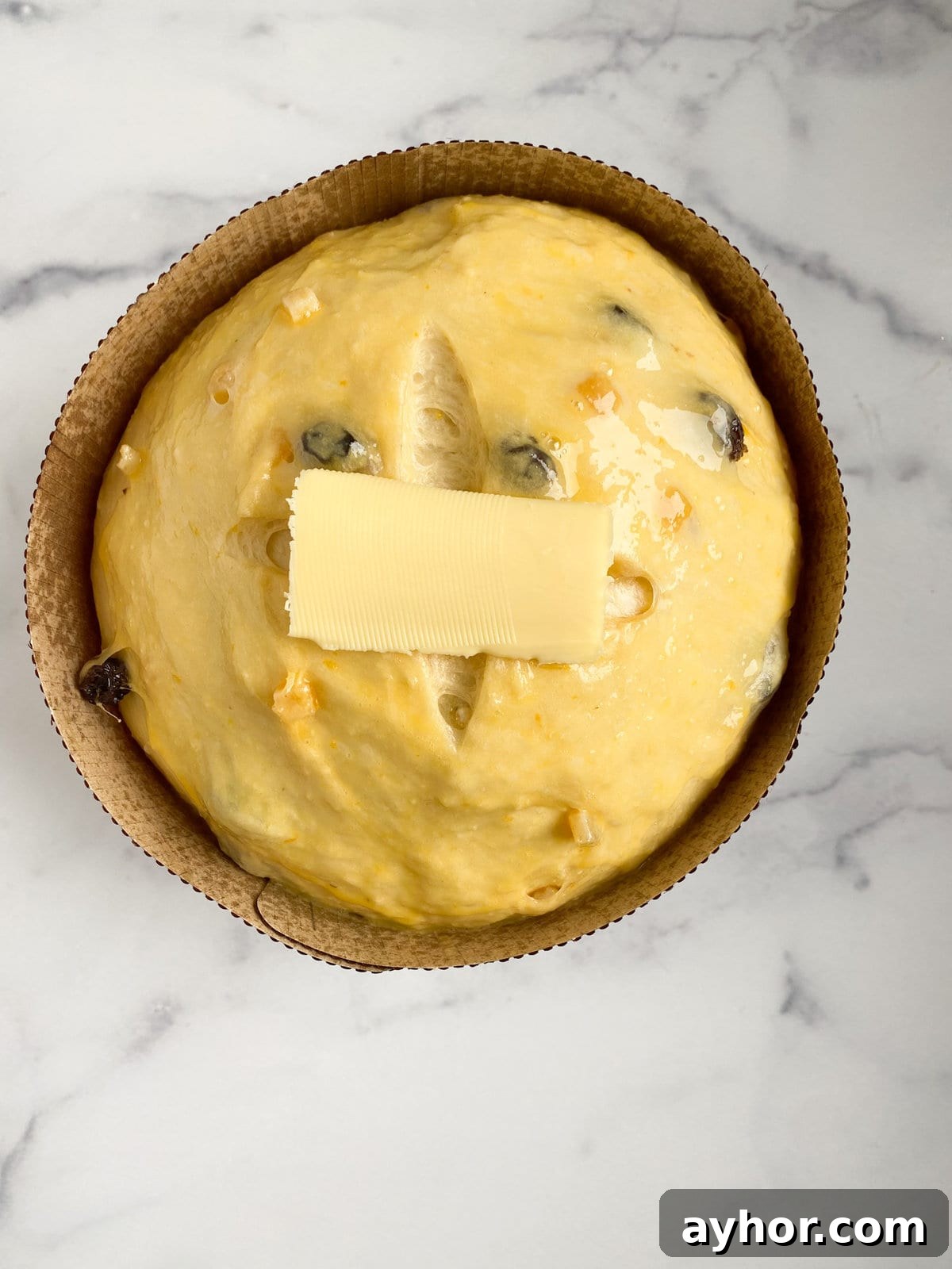 Classic Italian Panettone Recipe: Authentic Holiday Sweet Bread 17 panettone rise in the paper mold.
