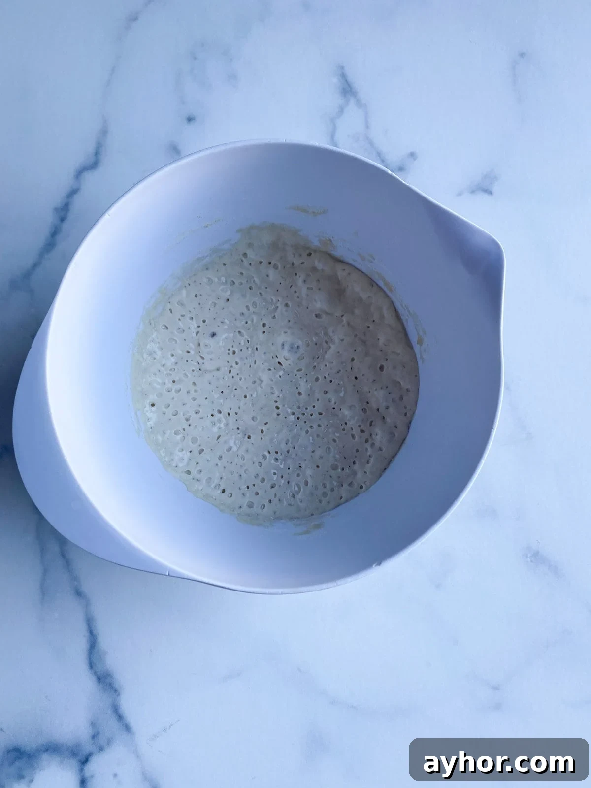 Classic Italian Panettone Recipe: Authentic Holiday Sweet Bread 7 dough starter after overnight rise.