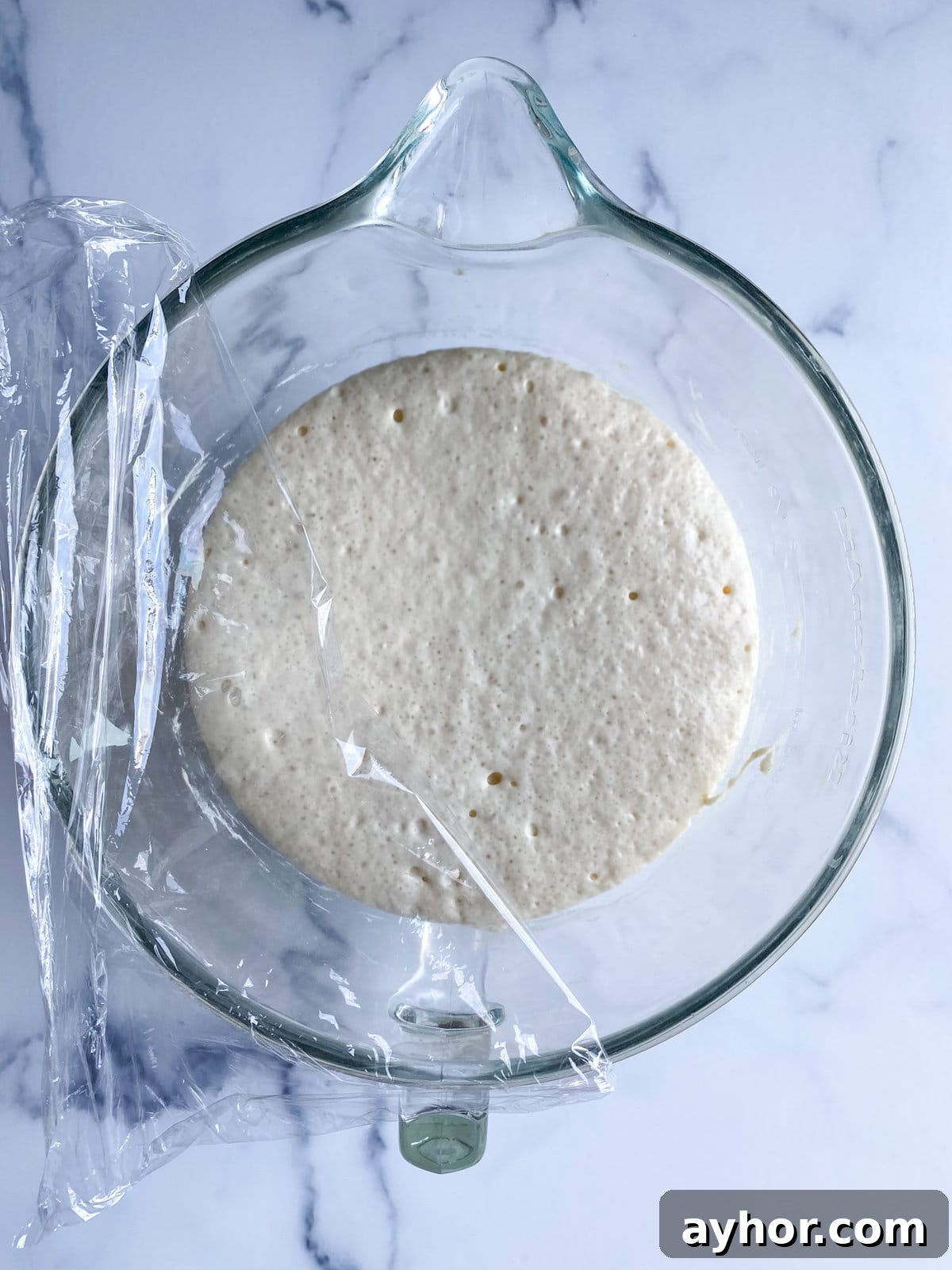 Classic Italian Panettone Recipe: Authentic Holiday Sweet Bread 10 Process for making panettone: dough starter after first rise