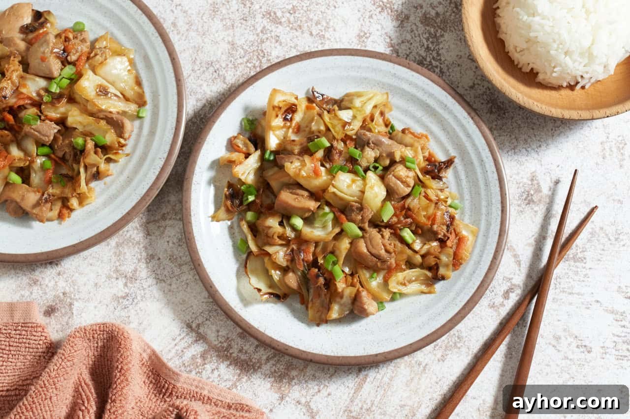 Chicken cabbage stir fry on two white plates, a bowl of rice is in the upper right corner.