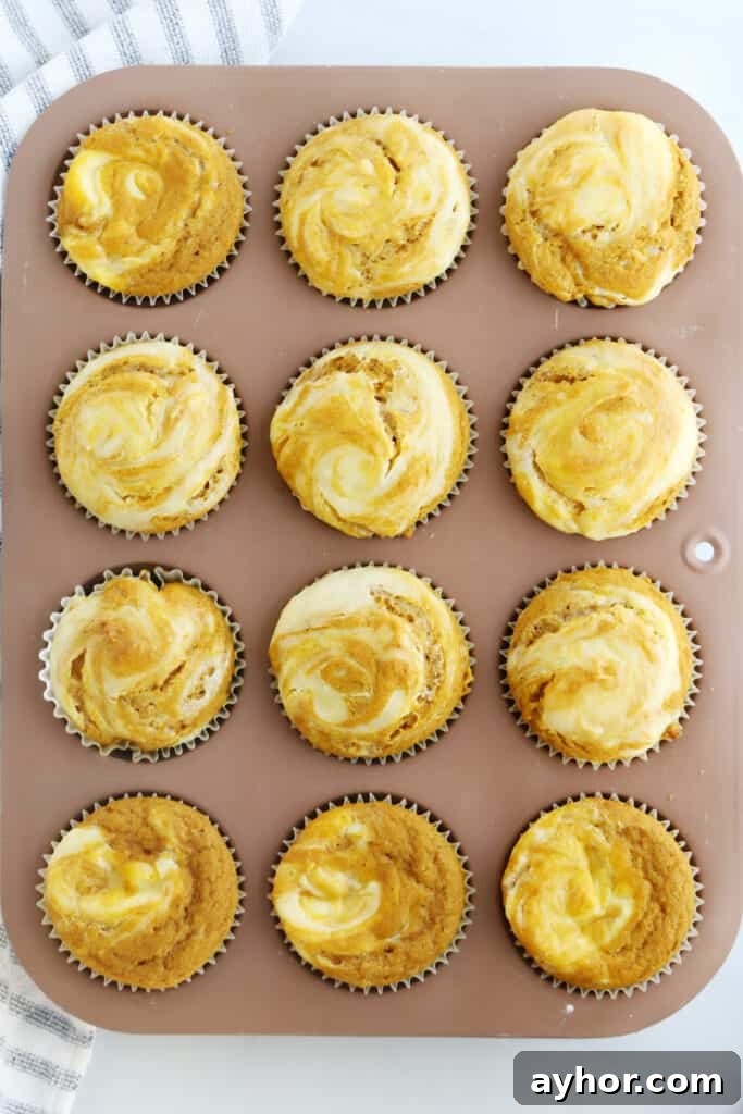 Baked pumpkin cheesecake muffins in a muffin pan.