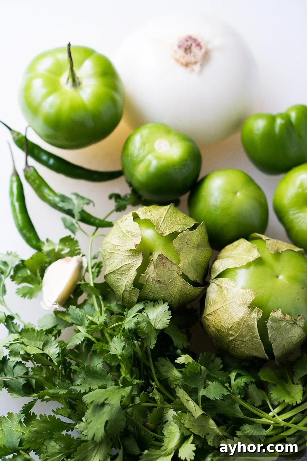 Authentic Mexican Salsa Verde Recipe — Gluten-Free & Keto 4 A Truly Mexican Salsa Verde