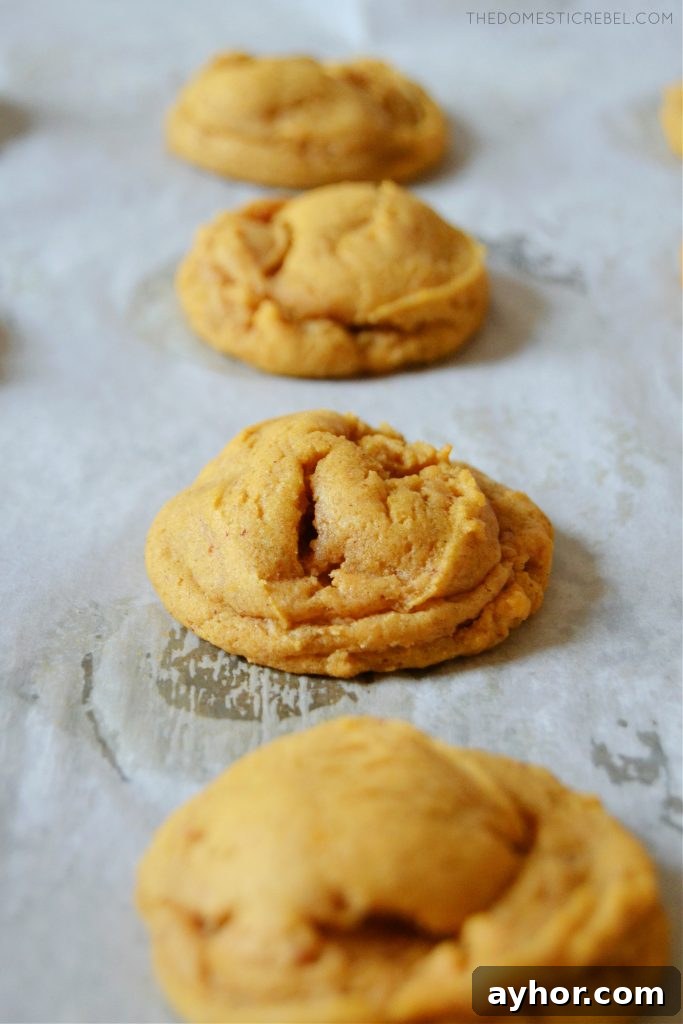 Brown Butter Pumpkin Spice Cookies Recipe for Fall Gatherings 4 a row of four brown butter pumpkin spice cookies