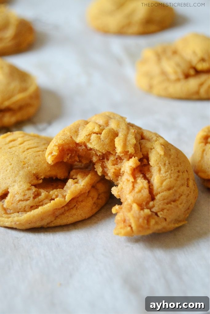 two brown butter pumpkin spice cookies on a piece of parchment