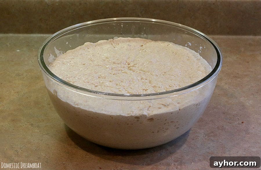 No-Knead Sourdough: Simple Rustic Loaf Recipe 2 Dough after first rise