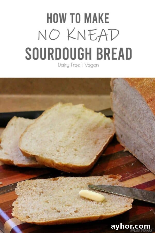 No-Knead Sourdough: Simple Rustic Loaf Recipe 13 img 2255 12