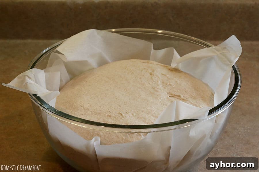 No-Knead Sourdough: Simple Rustic Loaf Recipe 3 Dough after second rise