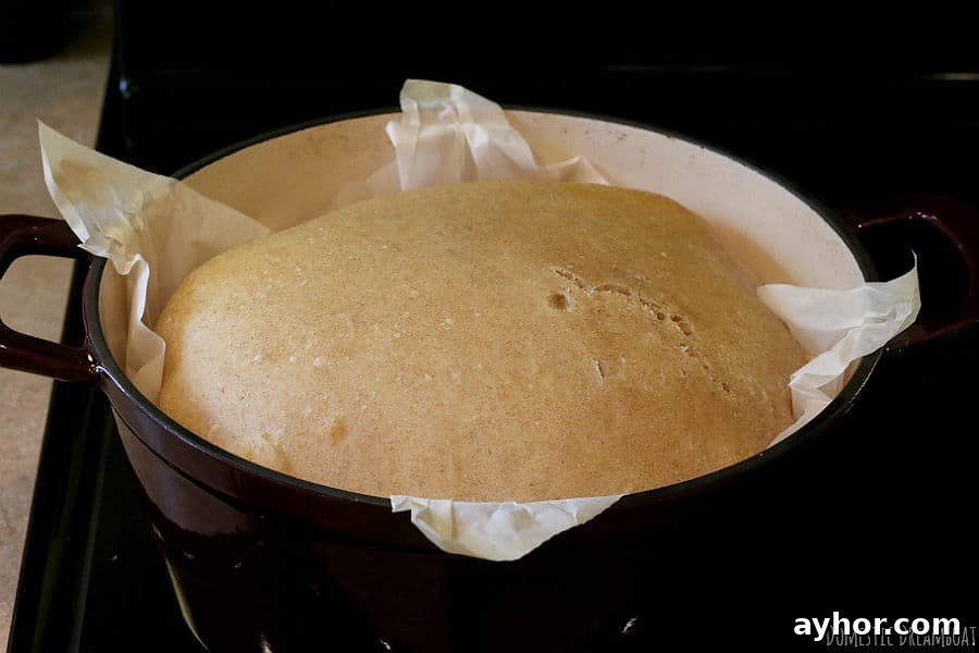 No-Knead Sourdough: Simple Rustic Loaf Recipe 4 Half baked sourdough