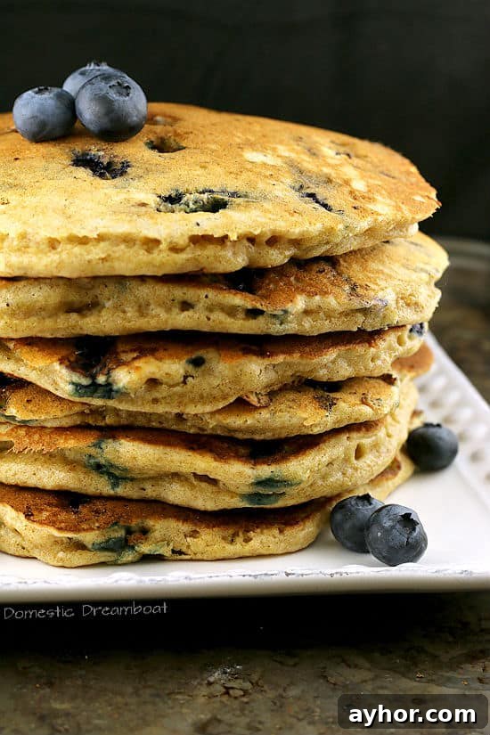 No-Knead Sourdough: Simple Rustic Loaf Recipe 9 Sourdough Blueberry Pancakes