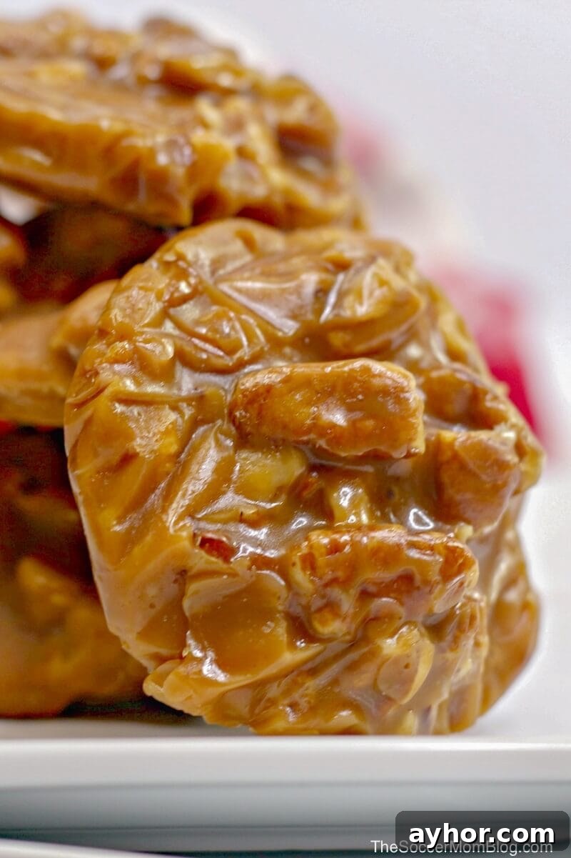 close up of a pecan praline candy