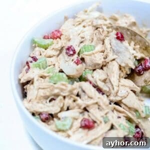 Pomegranate Chicken Salad with Yogurt Dressing and Greens 5 Up close picture of chicken pomegranate salad in a white bowl with a gold serving spoon.