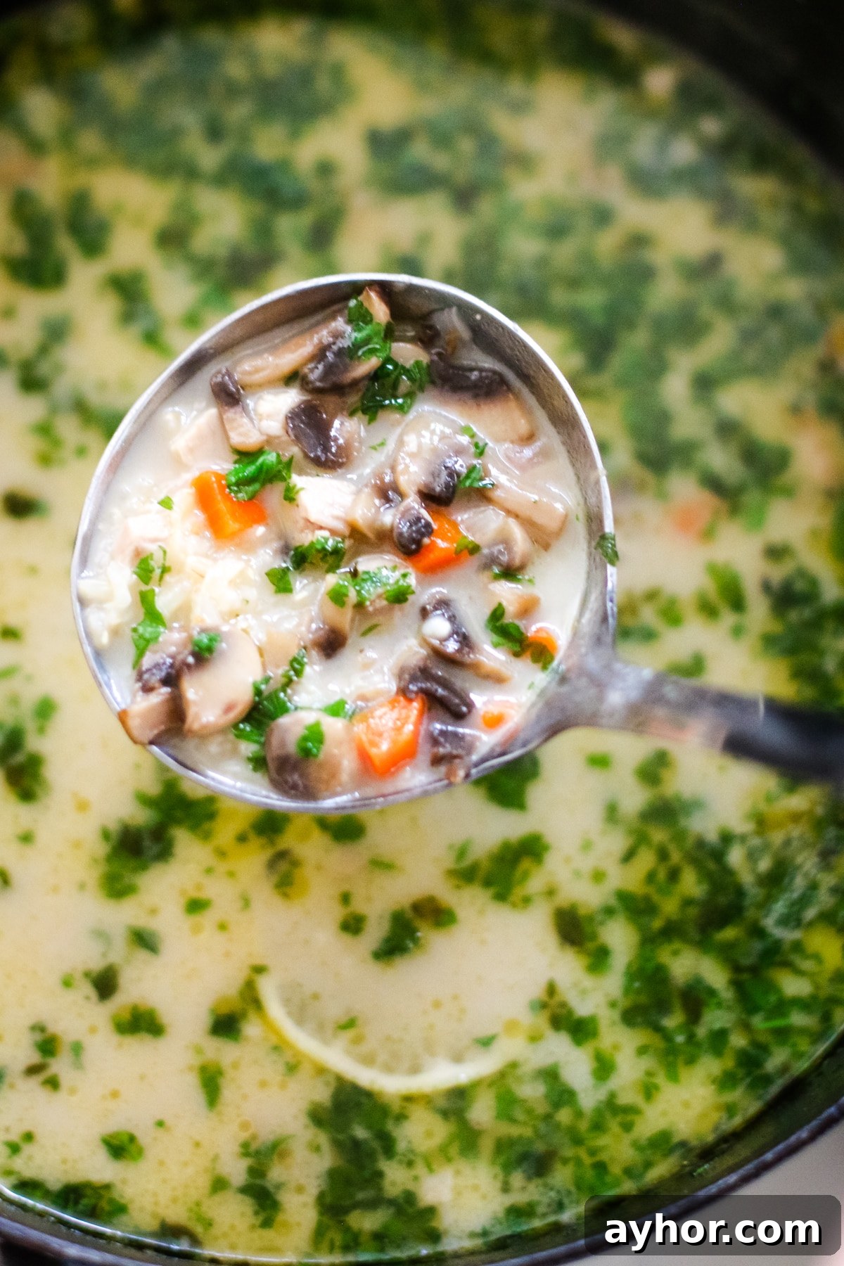 Mushroom, Rice & Turkey Soup from Leftover Roast 14 A ladle over the pot of turkey soup holding a scoop of turkey soup.