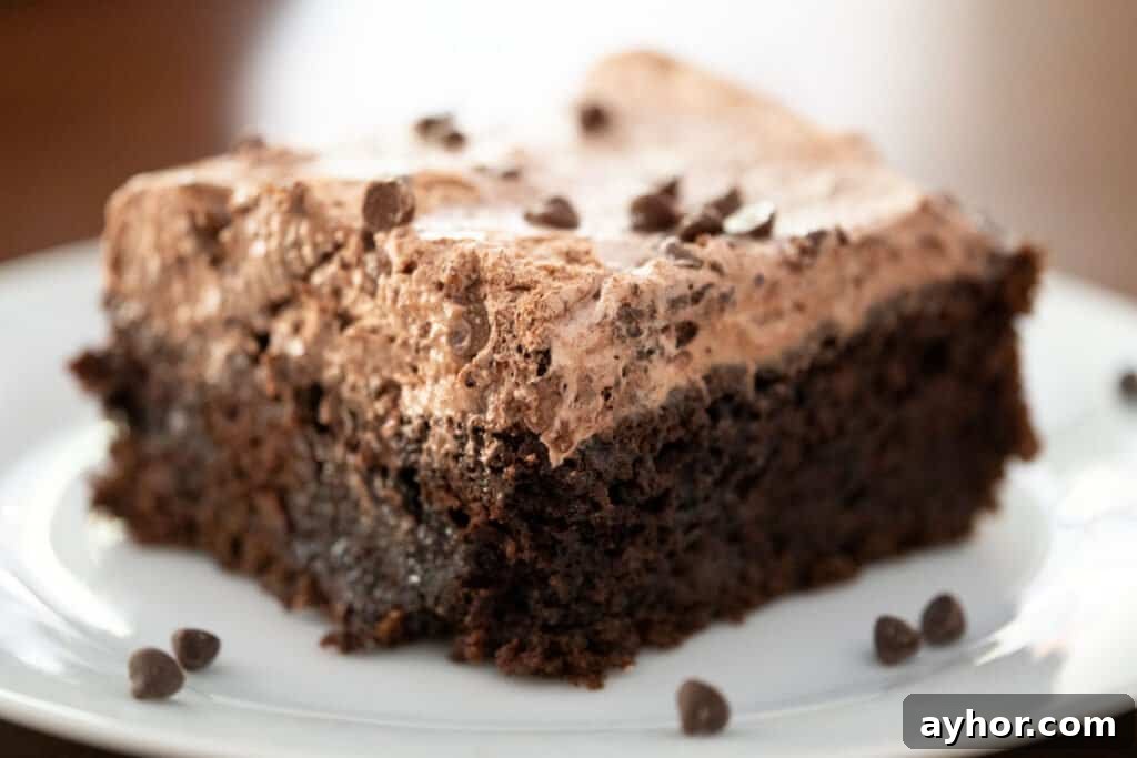 27 Perfect Side Dishes to Serve with Chicken Piccata 7 slice of chocolate poke cake on white plate