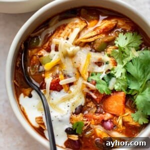 Turn Leftover Turkey Into Flavorful Chili Tonight 5 healthy leftover turkey chili in two bowls