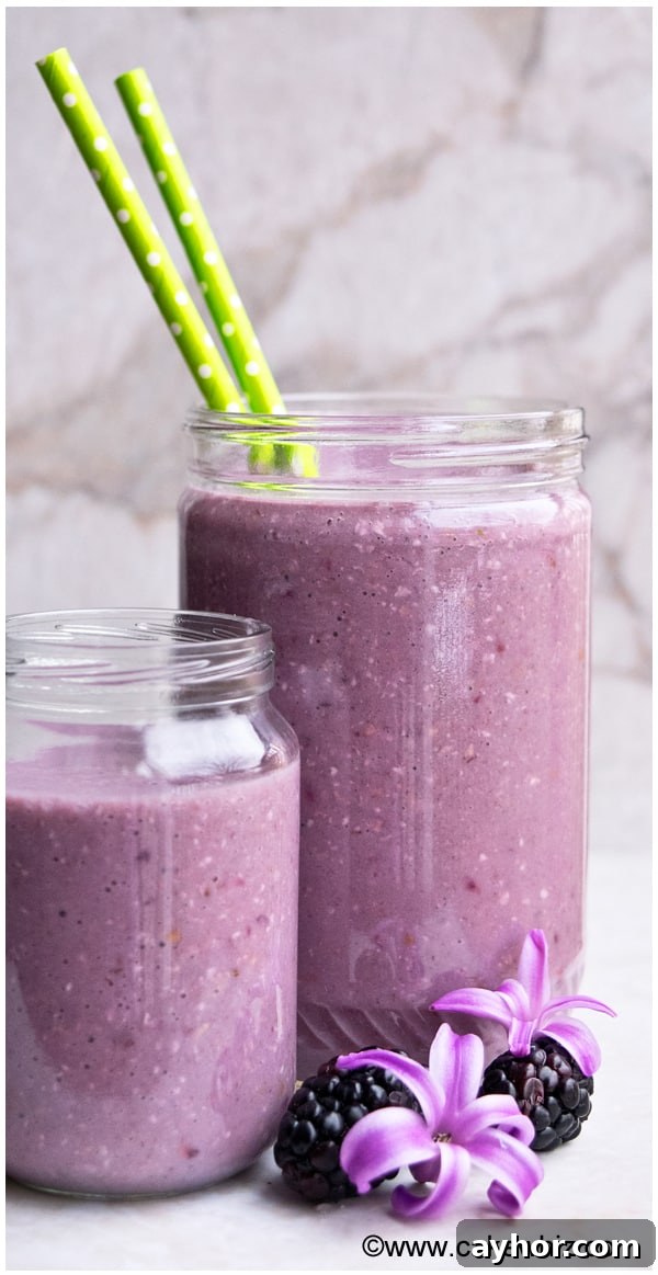 Creamy Blackberry Smoothie Recipe for Breakfast or Snacks 2 Blackberry Smoothie in Two Glass Jars.