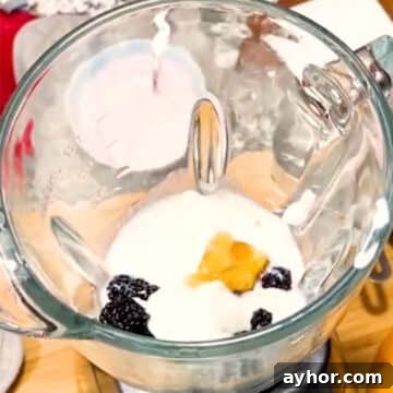 Creamy Blackberry Smoothie Recipe for Breakfast or Snacks 4 Smoothie ingredients in glass blender.