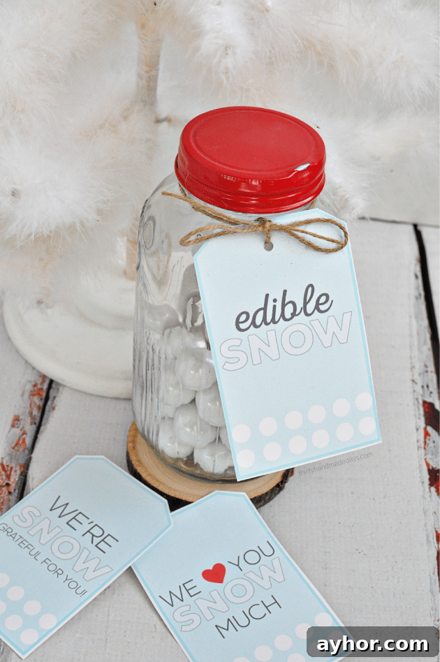 Snow Mason Jar Gift Ideas for Winter Decorations and Gifts 3 Edible Snow Mason Jar Gift Idea- a simple and sweet gift idea for the holidays. www.thityhandmadedays.com