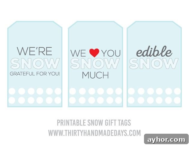 Snow Mason Jar Gift Ideas for Winter Decorations and Gifts 5 Edible Snow Mason Jar Gift Idea Printables- a simple and sweet gift idea for the holidays. | Thirty Handmade Days