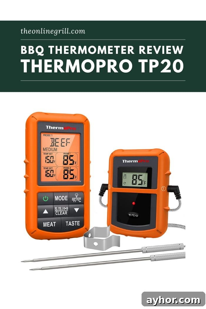 ThermoPro TP20 Wireless BBQ Thermometer Review: Accuracy & Features 2 ThermoPro TP20 Review