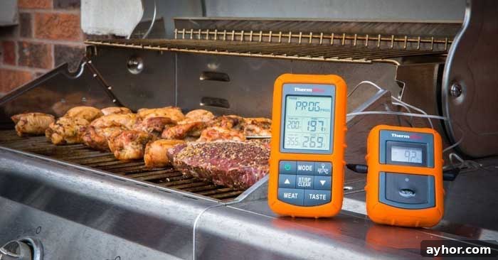 ThermoPro TP20 Wireless BBQ Thermometer Review: Accuracy & Features 3 thermopro tp20 next to grill cooking meat