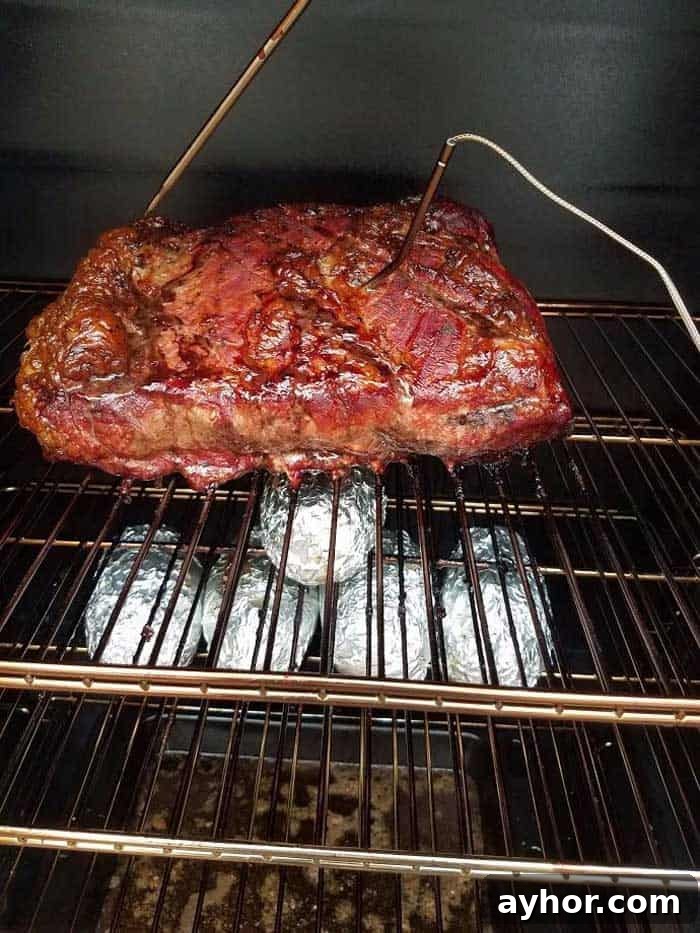 ThermoPro TP20 Wireless BBQ Thermometer Review: Accuracy & Features 4 thermopro tp20 probes in large brisket on grill grates