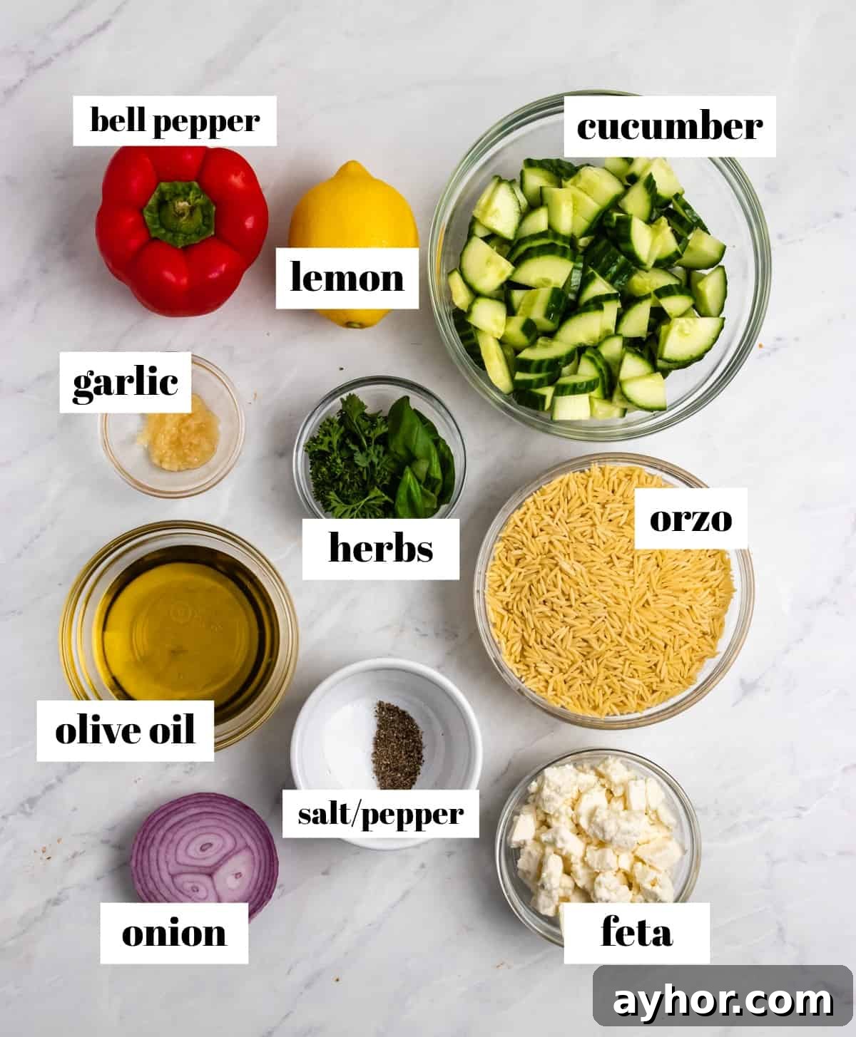 Cucumber, pepper, orzo, lemon, onion and other ingredients labeled on counter.