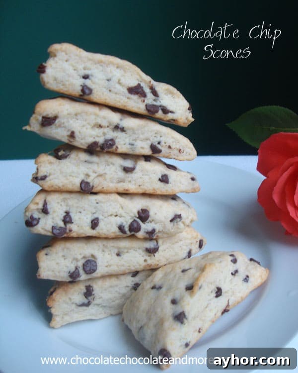 Chocolate Chip Scones are perfect with your morning coffee, as a light afternoon snack or to finish off your evening.