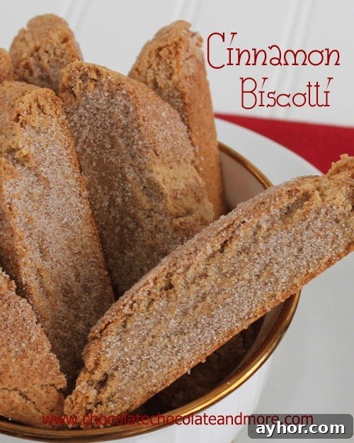 Cinnamon Sugar Biscotti-perfect for dunking and makes a great gift!