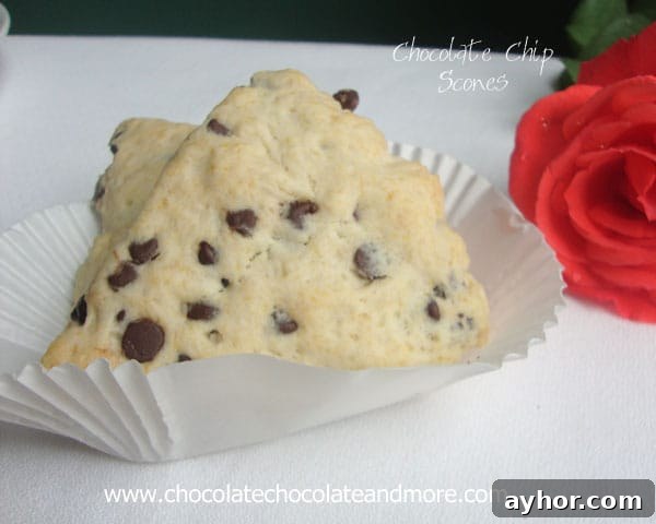 Chocolate Chip Scones are perfect with your morning coffee, as a light afternoon snack or to finish off your evening.