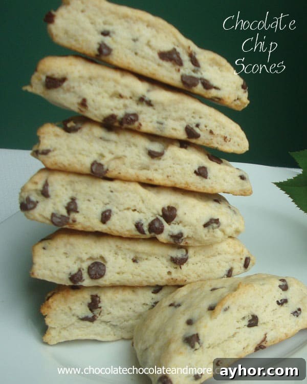Chocolate Chip Scones are perfect with your morning coffee, as a light afternoon snack or to finish off your evening.