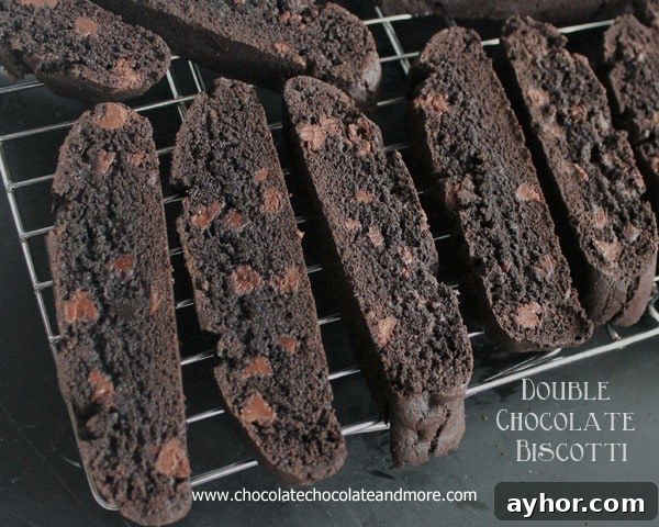 Double Chocolate Biscotti-made with Hershey's Special Dark cocoa and semi-sweet chocolate chips, this Biscotti will satisfy any chocolate lover!
