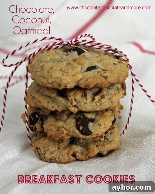 Chocolate Coconut Oatmeal Breakfast Cookies with Peanut Butter and pecans-the perfect way to start off your day!