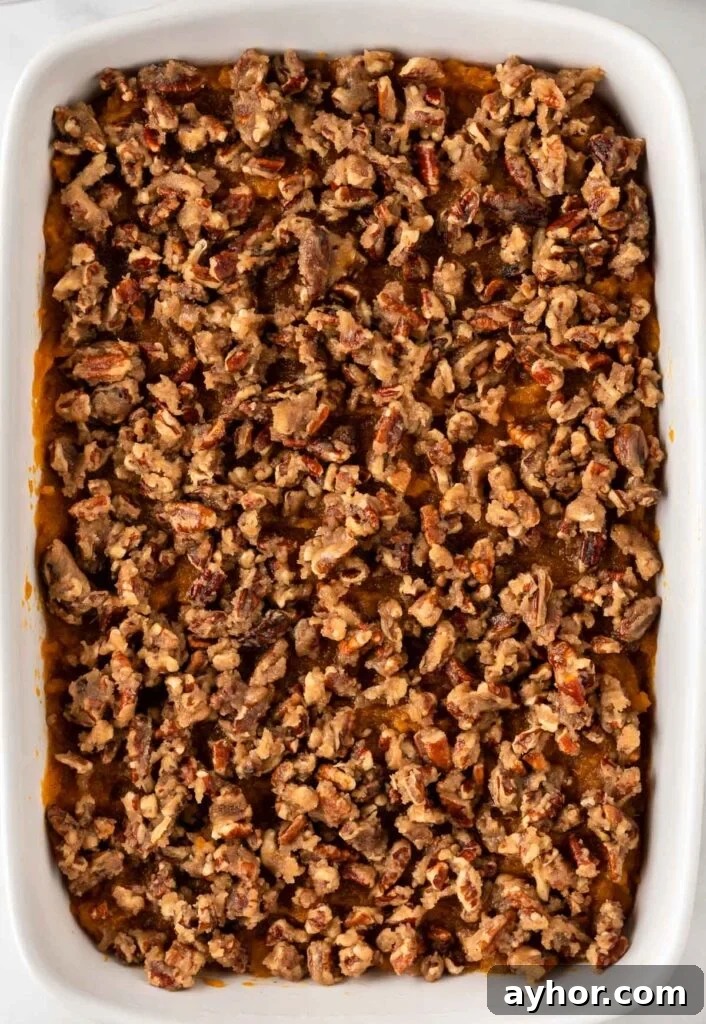 Creamy Sweet Potato Casserole with Toasted Marshmallows 15 sweet potato casserole with pecan topping